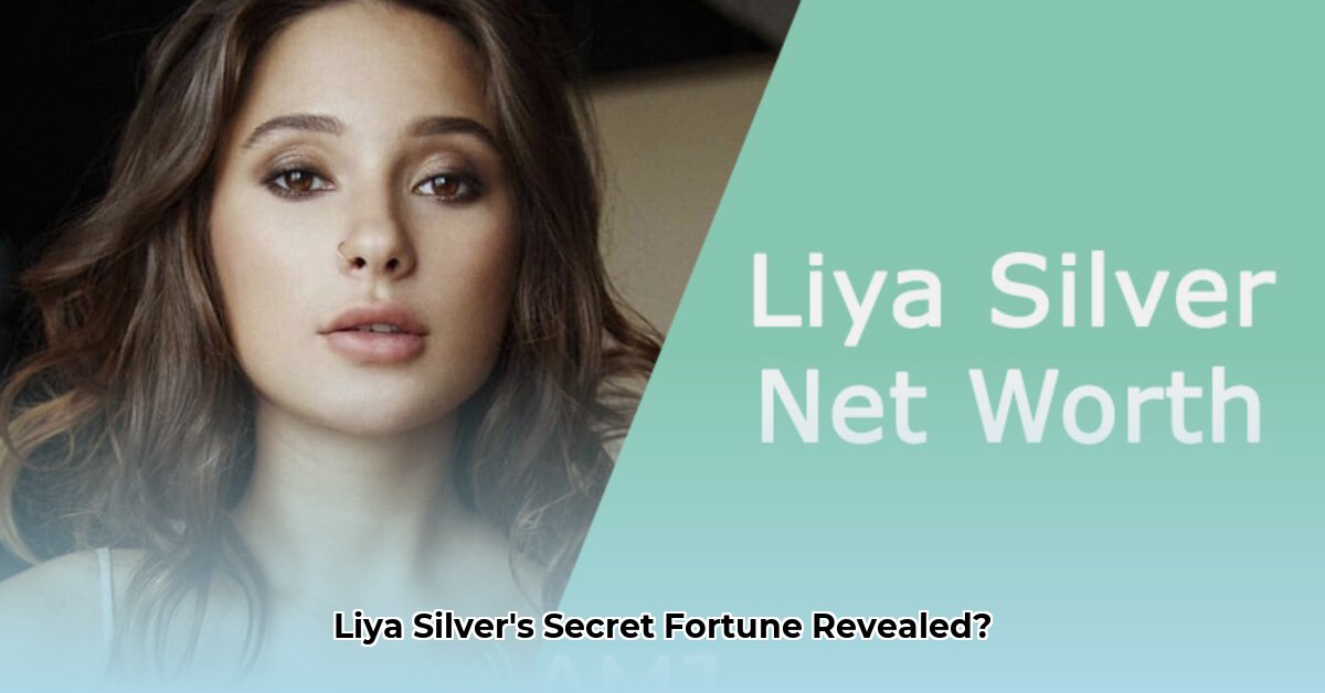 liya-silver-net-worth